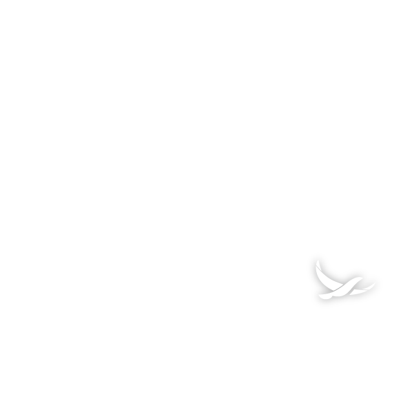 afc logo web blanc